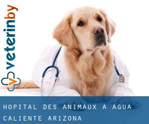 Hôpital des animaux à Agua Caliente (Arizona)