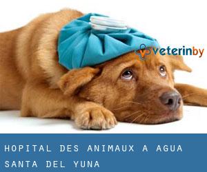 Hôpital des animaux à Agua Santa del Yuna