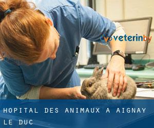 Hôpital des animaux à Aignay-le-Duc