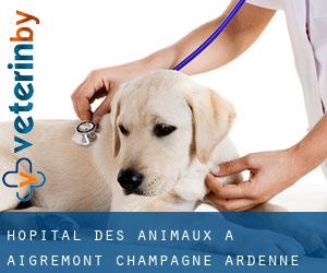Hôpital des animaux à Aigremont (Champagne-Ardenne)
