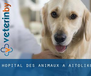 Hôpital des animaux à Aitolikó