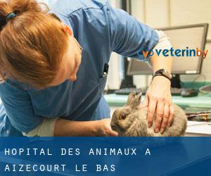 Hôpital des animaux à Aizecourt-le-Bas