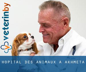 Hôpital des animaux à Akhmeta