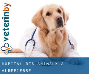 Hôpital des animaux à Albepierre