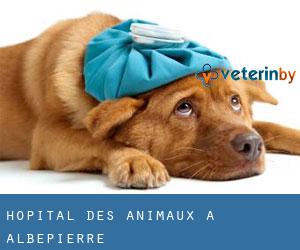 Hôpital des animaux à Albepierre