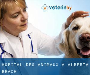 Hôpital des animaux à Alberta Beach