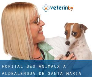 Hôpital des animaux à Aldealengua de Santa María