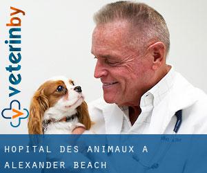 Hôpital des animaux à Alexander Beach