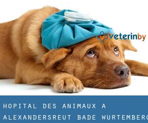 Hôpital des animaux à Alexandersreut (Bade-Wurtemberg)