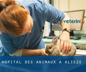 Hôpital des animaux à Alièze
