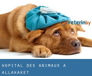 Hôpital des animaux à Allakaket