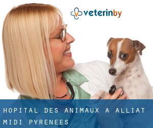 Hôpital des animaux à Alliat (Midi-Pyrénées)