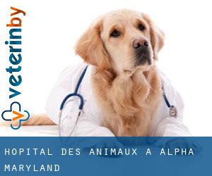 Hôpital des animaux à Alpha (Maryland)