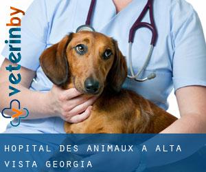 Hôpital des animaux à Alta Vista (Georgia)