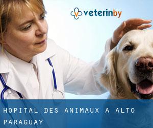 Hôpital des animaux à Alto Paraguay