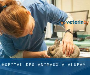 Hôpital des animaux à Alupay