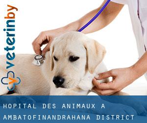 Hôpital des animaux à Ambatofinandrahana District