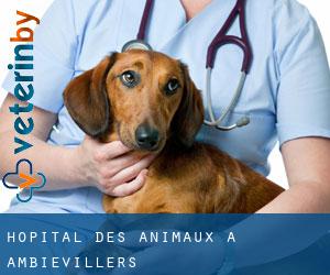 Hôpital des animaux à Ambiévillers