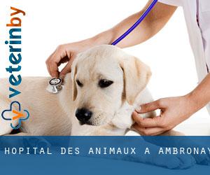 Hôpital des animaux à Ambronay
