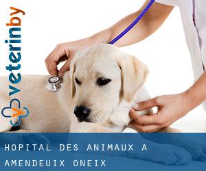 Hôpital des animaux à Amendeuix-Oneix