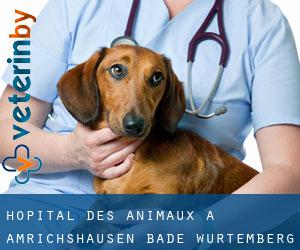 Hôpital des animaux à Amrichshausen (Bade-Wurtemberg)