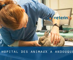 Hôpital des animaux à Andouque