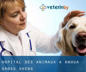 Hôpital des animaux à Anhua (Gansu Sheng)