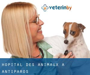 Hôpital des animaux à Antíparos
