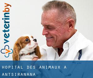 Hôpital des animaux à Antsiranana
