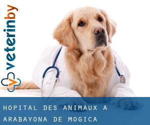 Hôpital des animaux à Arabayona de Mógica