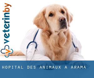 Hôpital des animaux à Arama