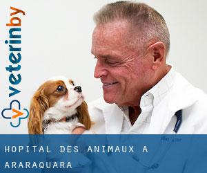 Hôpital des animaux à Araraquara