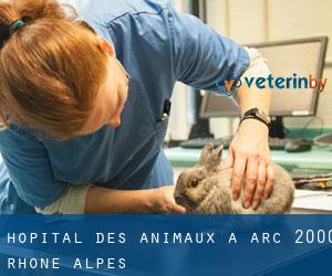 Hôpital des animaux à Arc 2000 (Rhône-Alpes)