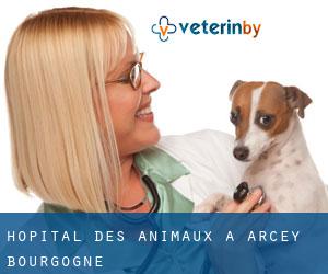 Hôpital des animaux à Arcey (Bourgogne)