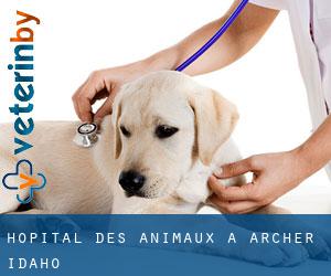 Hôpital des animaux à Archer (Idaho)