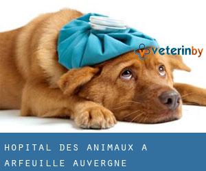 Hôpital des animaux à Arfeuille (Auvergne)