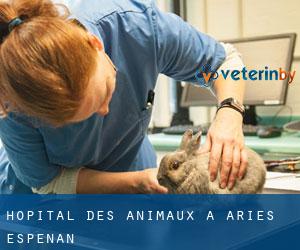Hôpital des animaux à Aries-Espénan
