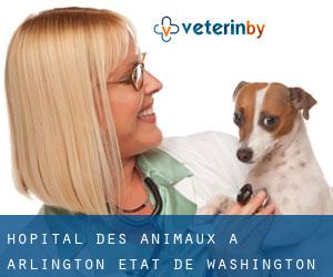 Hôpital des animaux à Arlington (État de Washington)