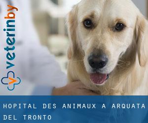 Hôpital des animaux à Arquata del Tronto