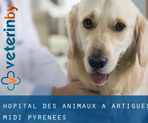 Hôpital des animaux à Artigues (Midi-Pyrénées)