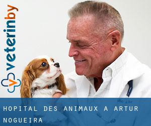 Hôpital des animaux à Artur Nogueira