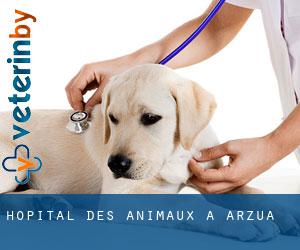 Hôpital des animaux à Arzúa
