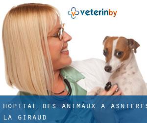 Hôpital des animaux à Asnières-la-Giraud
