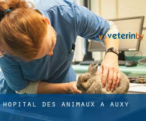 Hôpital des animaux à Auxy
