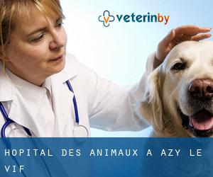 Hôpital des animaux à Azy-le-Vif