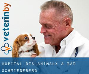 Hôpital des animaux à Bad Schmiedeberg