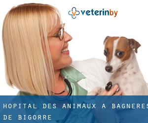 Hôpital des animaux à Bagnères-de-Bigorre