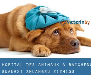 Hôpital des animaux à Baicheng (Guangxi Zhuangzu Zizhiqu)