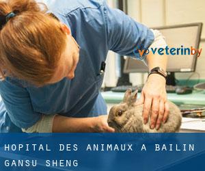 Hôpital des animaux à Bailin (Gansu Sheng)