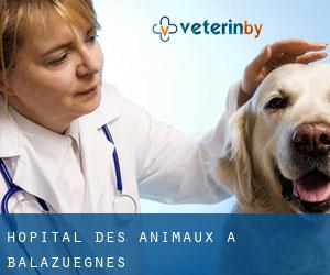 Hôpital des animaux à Balazuègnes